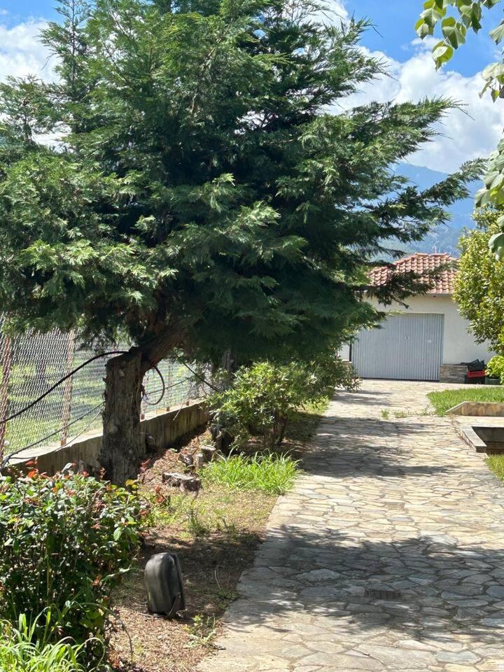 Zeusplace Karia Villa Natura Лептокарія Екстер'єр фото