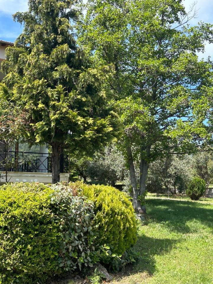Zeusplace Karia Villa Natura Лептокарія Екстер'єр фото